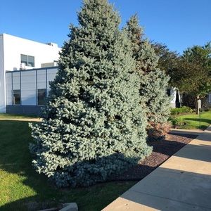 Meet your Posher, Gabriela